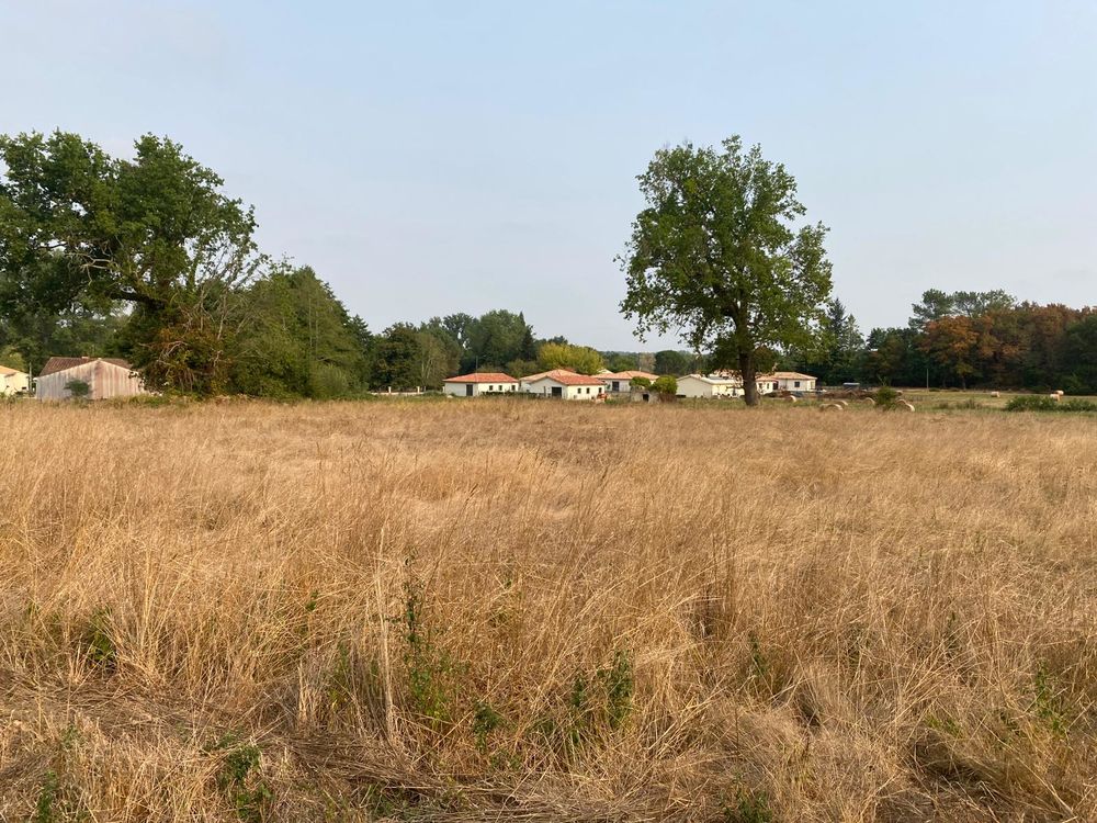 Vente Terrain Terrain de 20904 m² - Montendre centre - Constructible Montendre