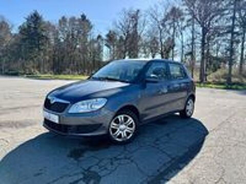 Fabia 1.2 12V 60 Pep's 2011 occasion 65800 Aureilhan