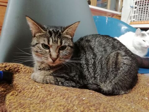 VANDA 240 92400 Courbevoie