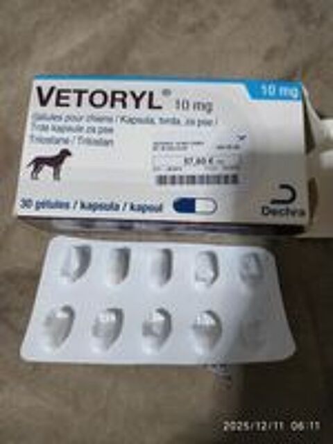   VETORYL
