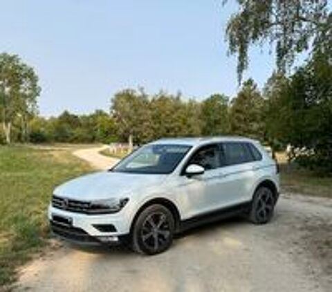 Tiguan 2.0 TDI 150 DSG7 Carat Exclusive 2016 occasion 10280 Fontaine-les-Gr&egrave;s