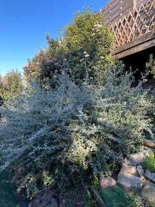  Maison � vendre 3 pi�ces 86 m�