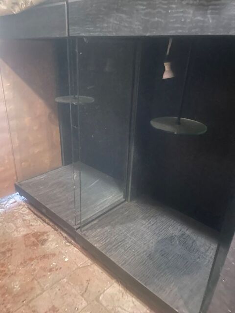 vitrines 300 Chambourg-sur-Indre (37)