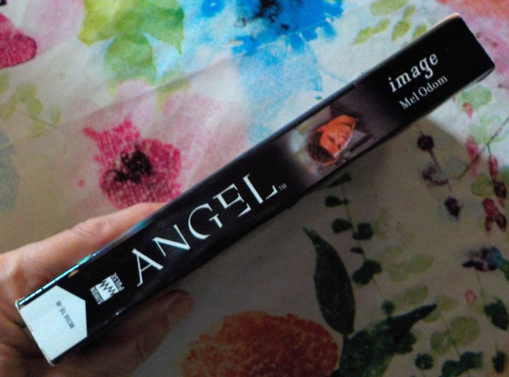 ANGEL - IMAGE de Mel ODOM livre en ANGLAIS Livres et BD