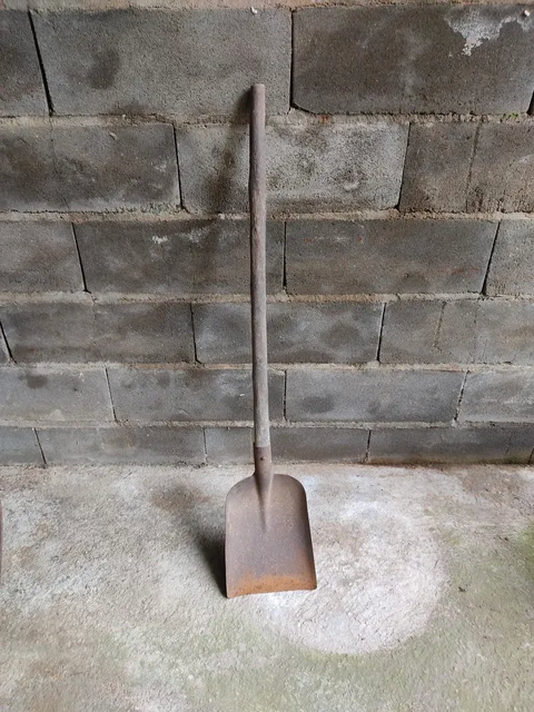 Pelle 10 Soullans (85)