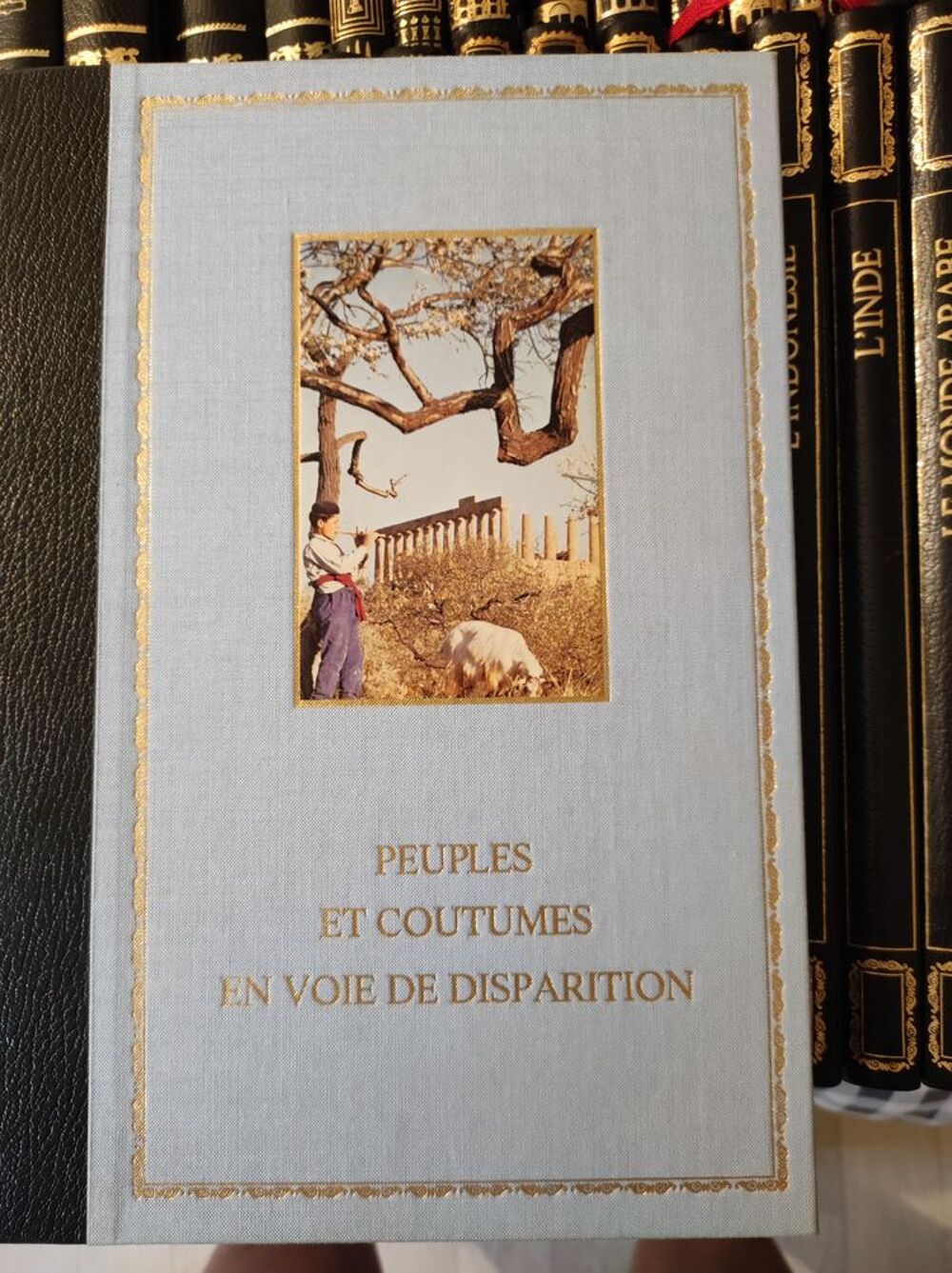 Collection histoire des civilisations Livres et BD