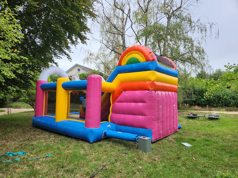 Ch&acirc;teau gonflable licorne professionnel avec toboggan - JB I Jeux / jouets