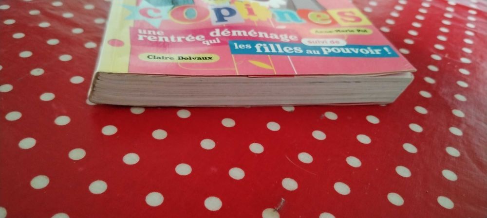 livre les 3 copines Livres et BD