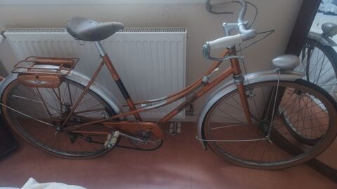 Vélo vintage Mardié (45)