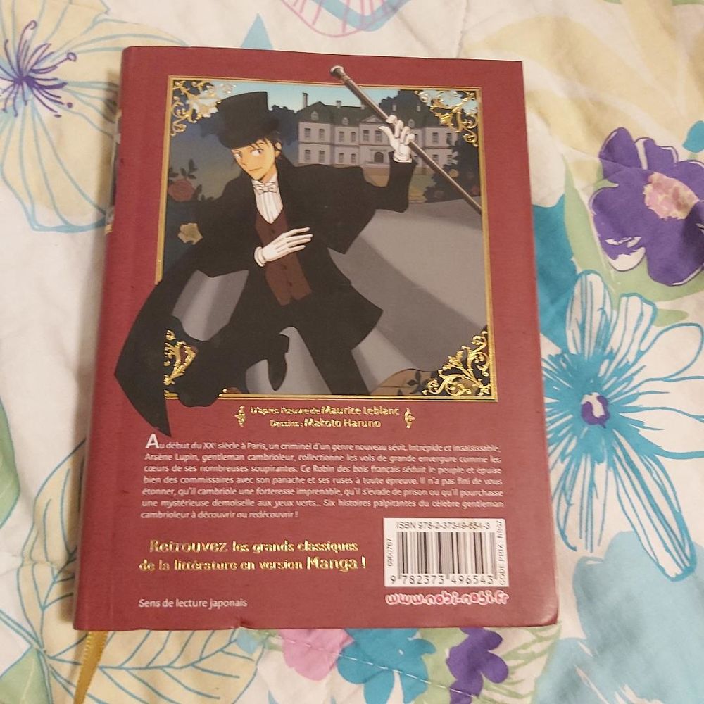 Ars&egrave;ne lupin Livres et BD