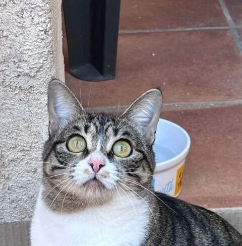 BEBE 230 27620 Gasny