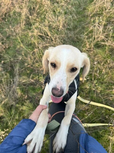 ARIEL SE TROUVE DANS UN REFUGE EN UKRAINE (RESERVEE) 0 75018 Paris