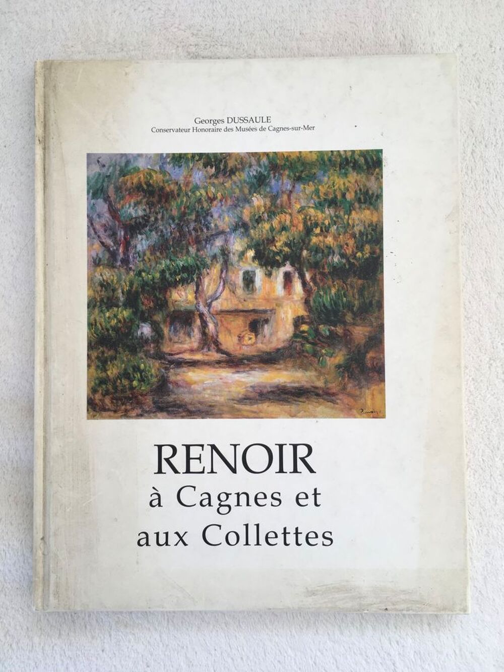 Lot de 8 livres d'art sur la Peinture (Lautrec, Renoir,...) Livres et BD