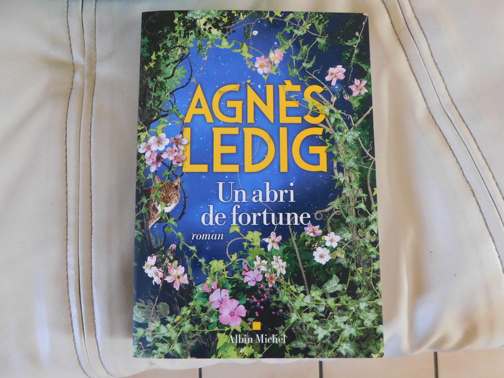 Livre Agn&egrave;s LEDIG "un abri de fortune" Livres et BD