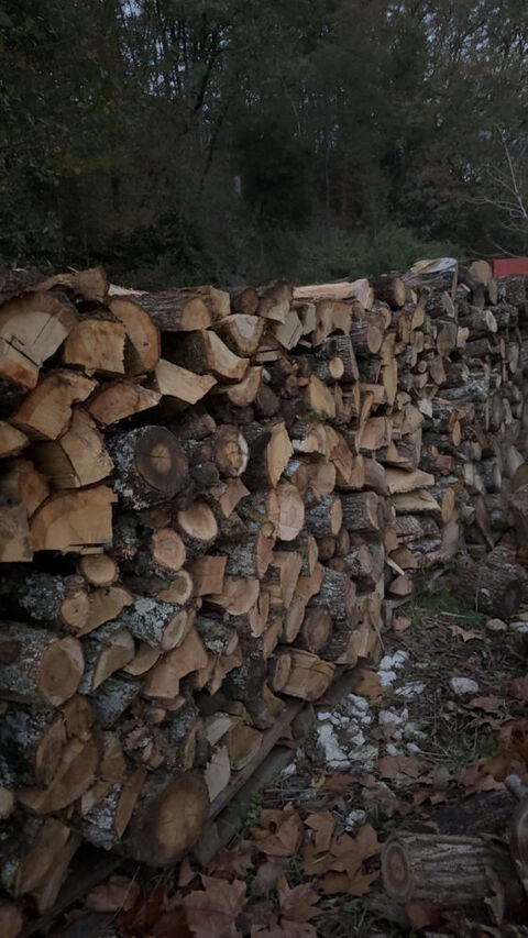 Bois de Chauffage 80 Montagudet (82)