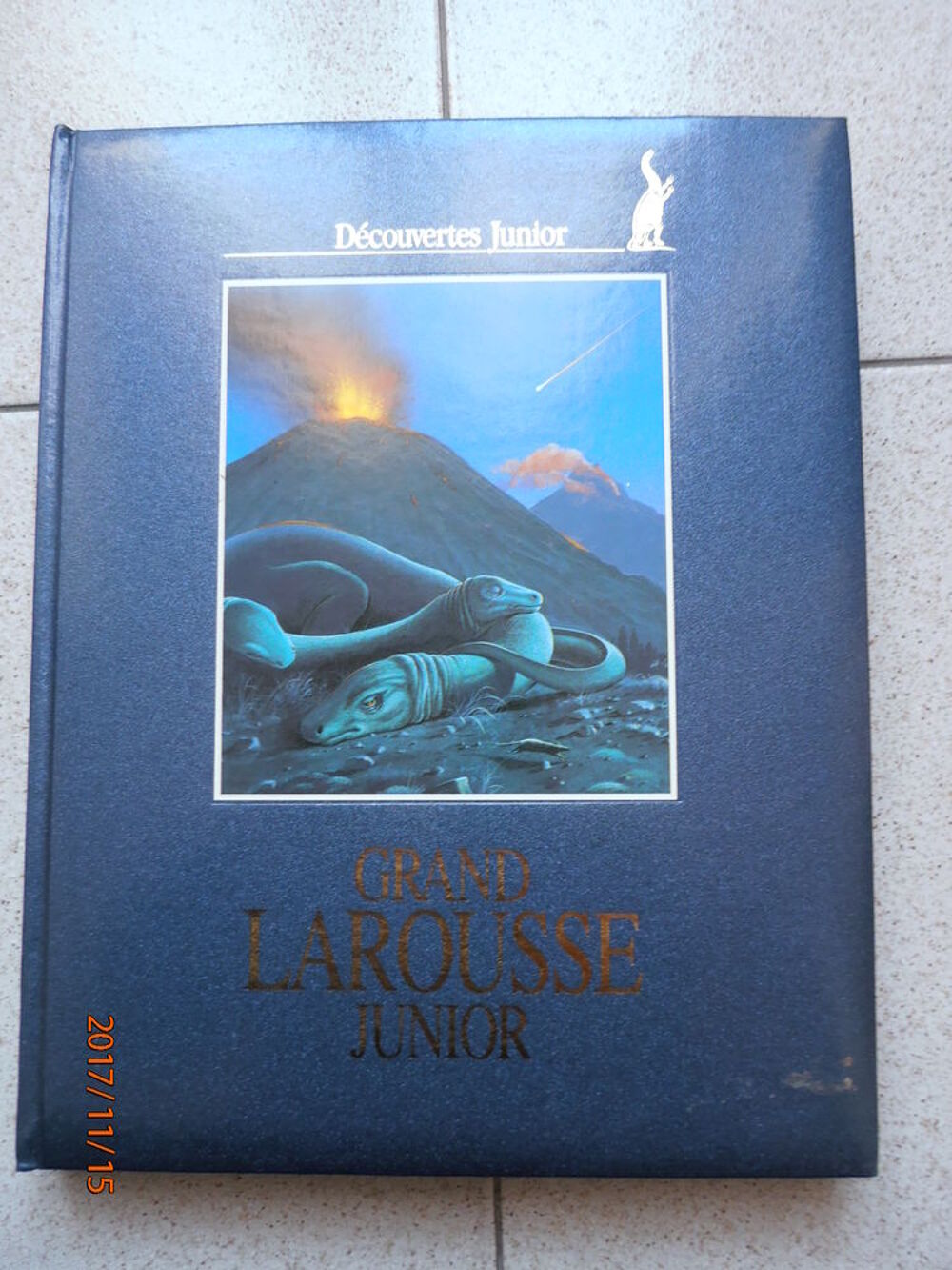 Grand Larousse Junior Livres et BD