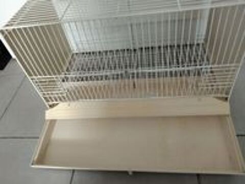   Cage oiseaux  