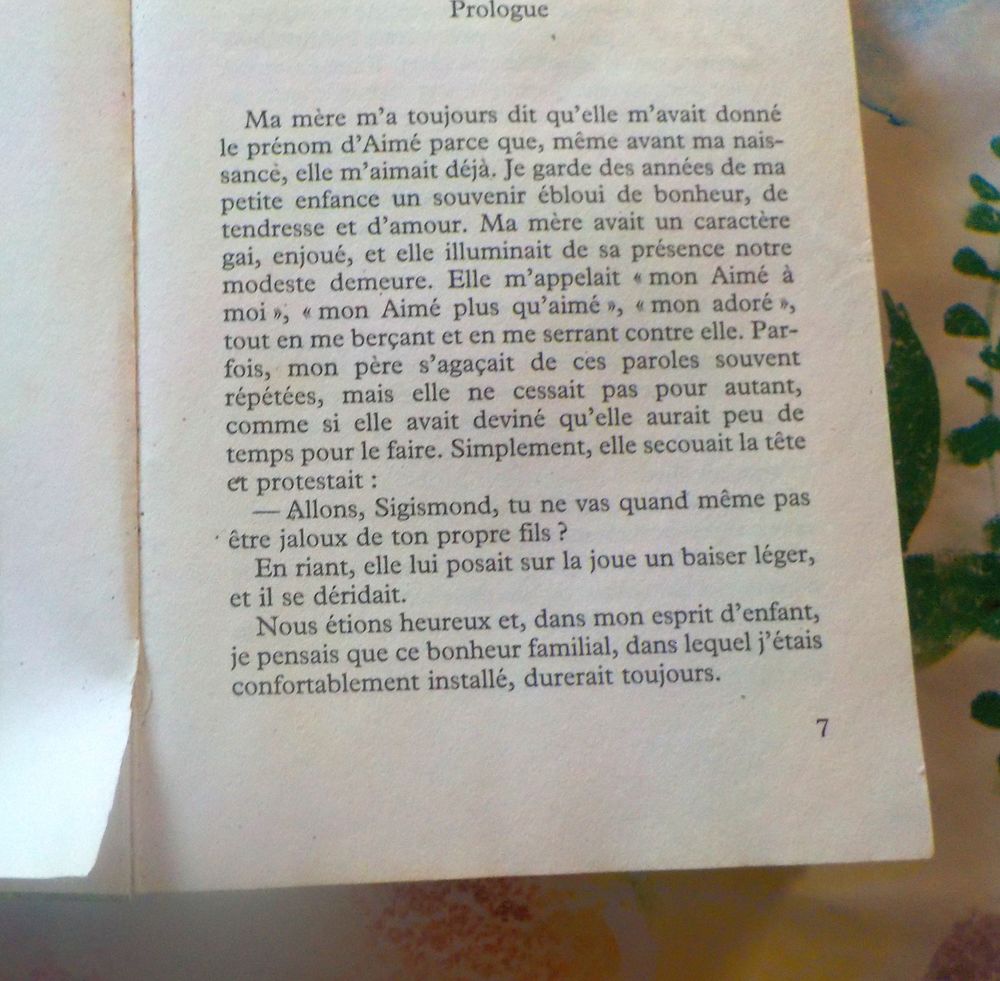 AU BONHEUR DU MATIN de Marie-Paul ARMAND Ed. Le Grand Livre Livres et BD