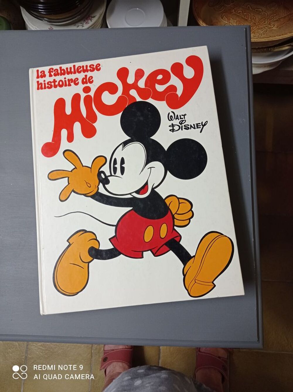 3 grands livres de bande dessin&eacute;e de MICKEY DONALD et RIFI Livres et BD