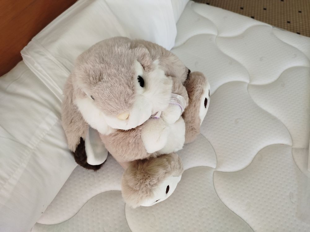 Peluche Lapin en TBE (lav&eacute;e, tr&egrave;s douce) Jeux / jouets