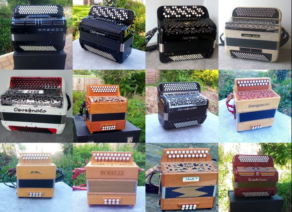 accord&eacute;ons diatoniques neufs et occasions r&eacute;centes Instruments de musique