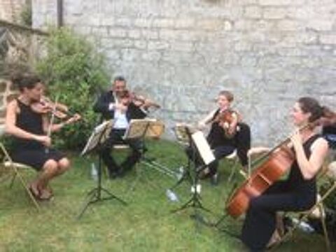   Animation musicale  par quatuor à cordes 
