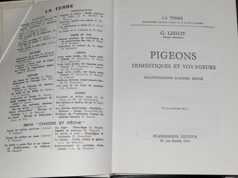 Livre Pigeons Voyageurs Livres et BD