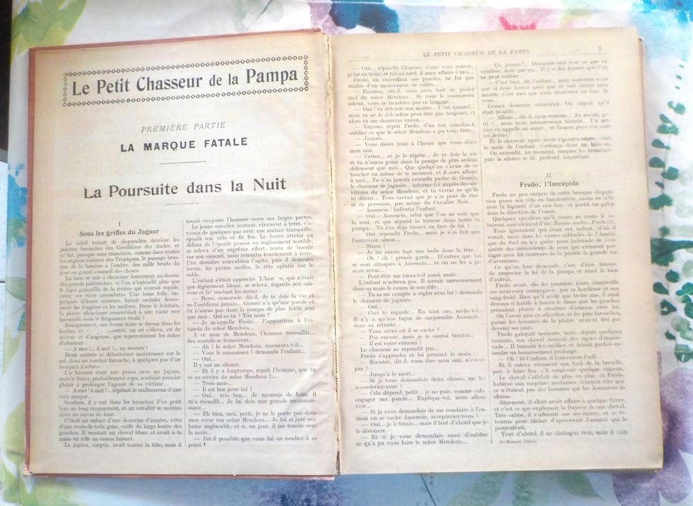 LE PETIT CHASSEUR DE LA PAMPA de Arnold GALOPIN 1 &agrave; 50 1925 Livres et BD