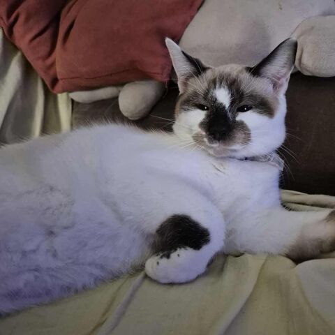 Praline 180 26100 Romans-sur-is�re