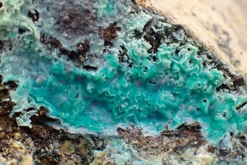 Chrysocolle Mine de Rio Marina Ile d'Elbe Italie 51gr 