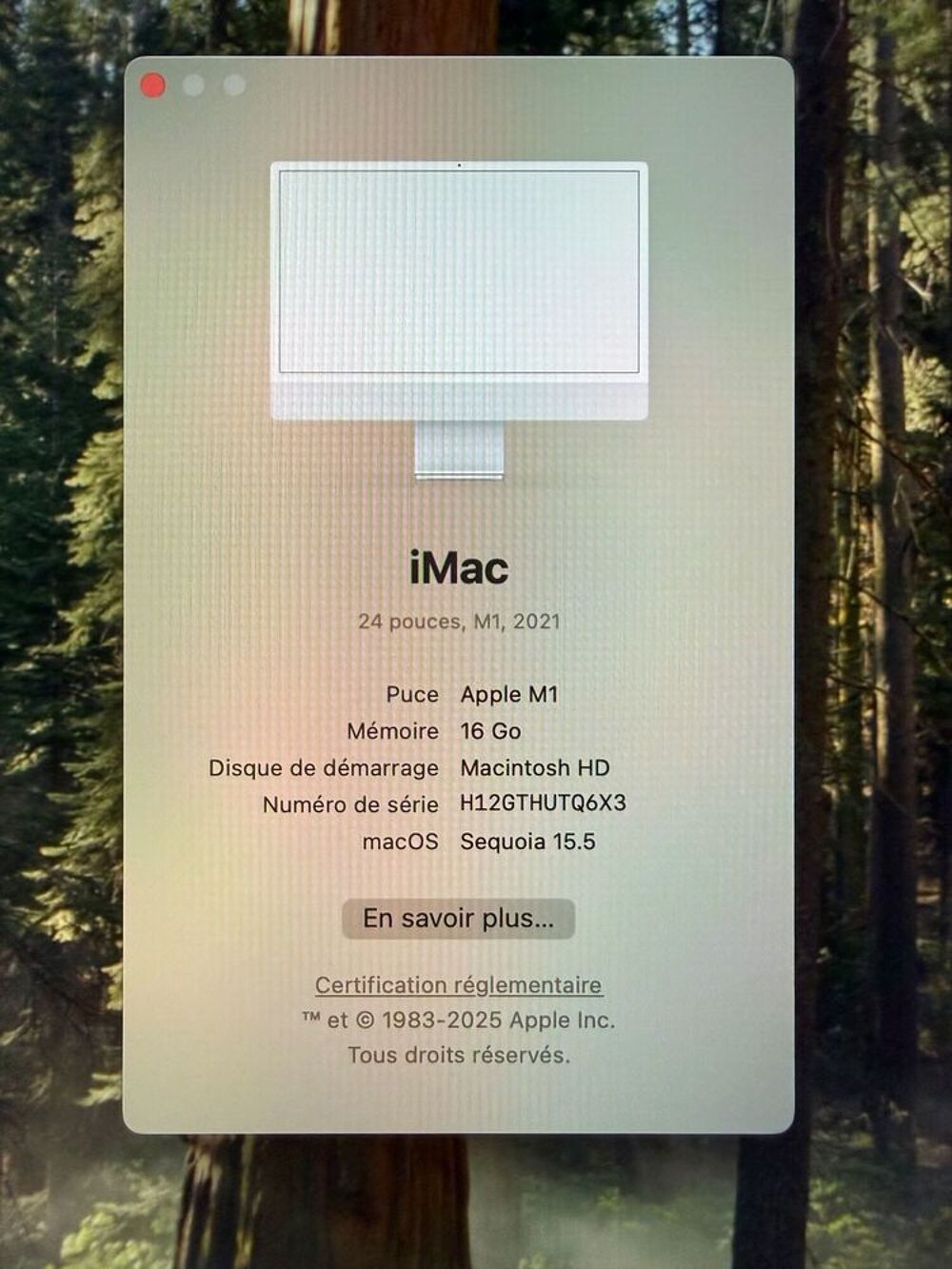 iMac 24" Silver 2021 - 16go ram - 2T SSD Matériel informatique