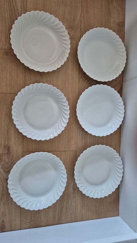Assiettes Haviland Limoges 59 P�rigueux (24)