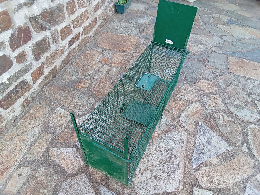  CAGE DE REPRISE Bricolage