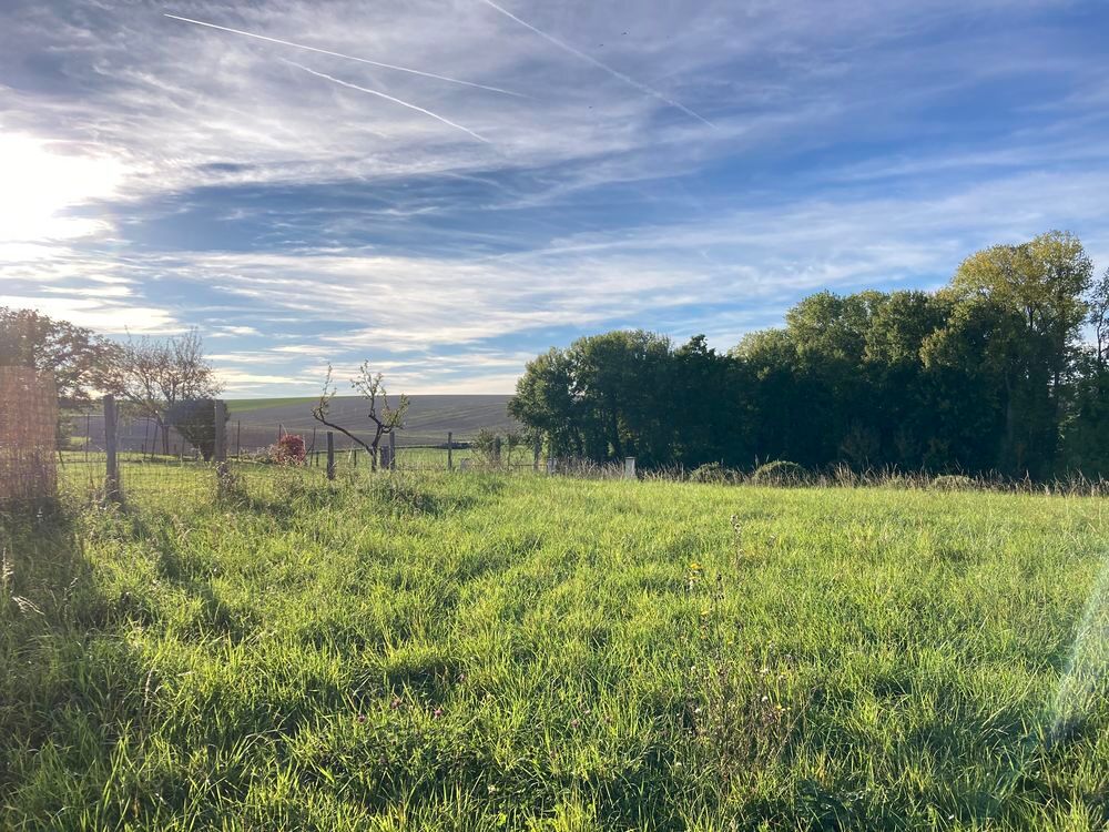 Vente Terrain Terrain constructible de 1885 m² à Chichery (89) Chichery