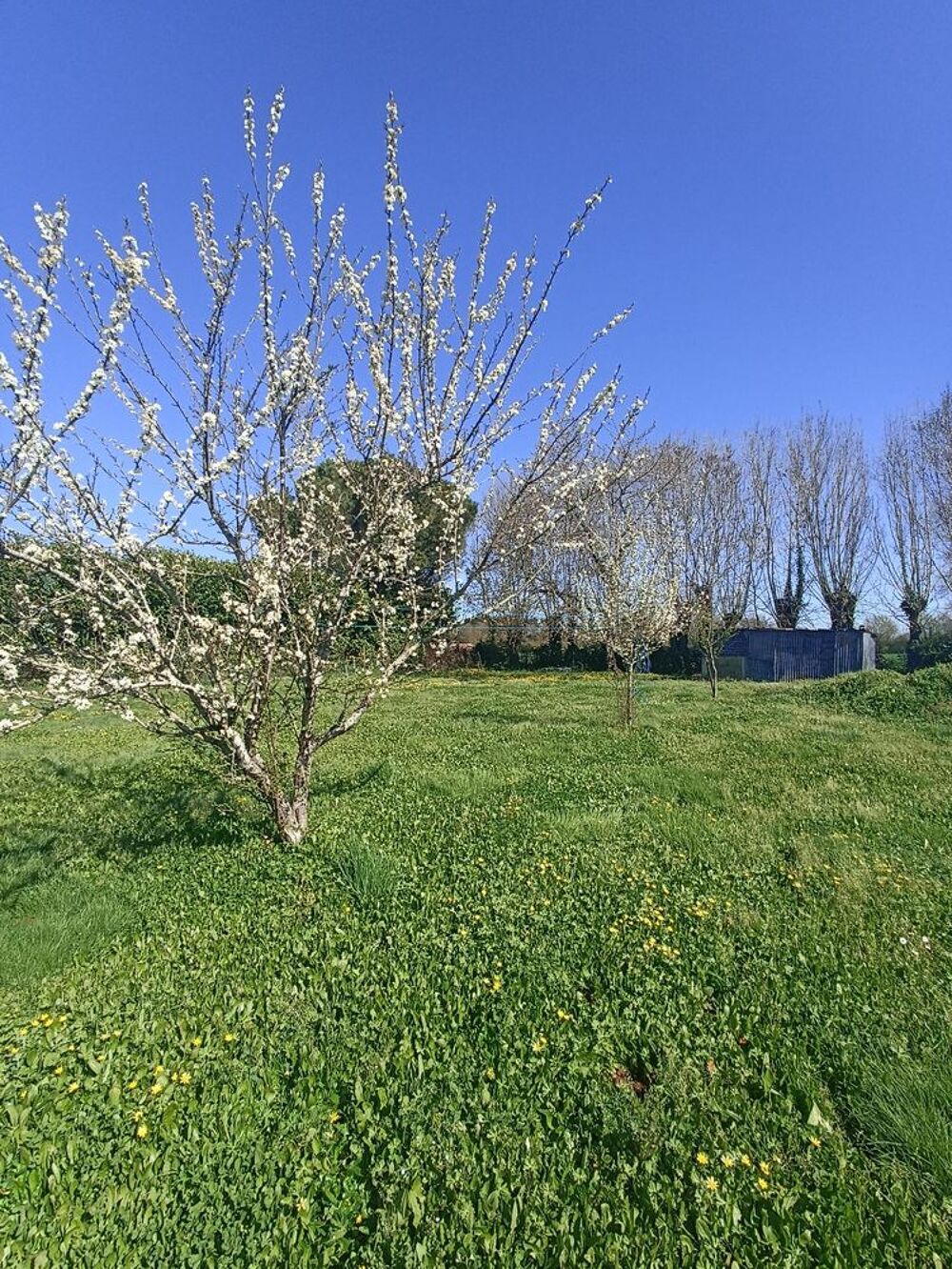 Vente Terrain Terrain constructible 998m² Le champ-saint-père