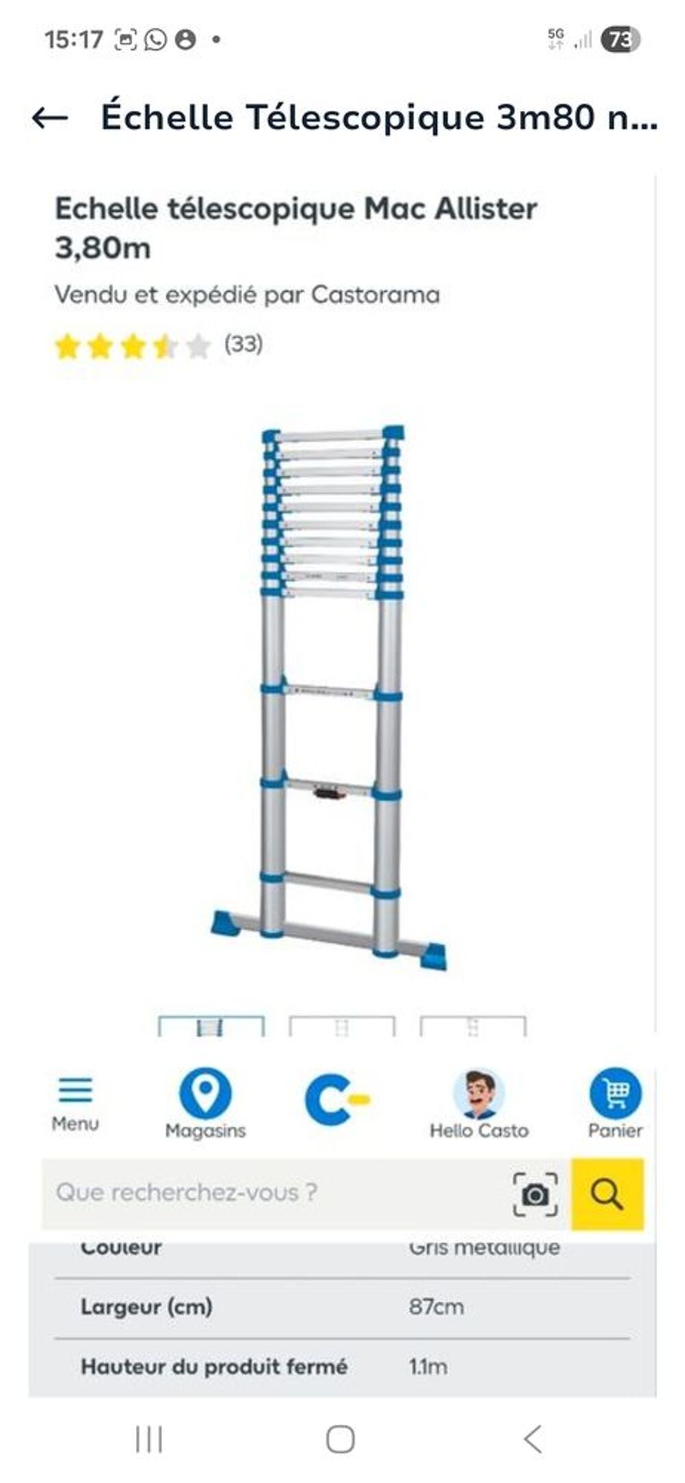 &Eacute;chelle t&eacute;lescopique 3m80 Bricolage