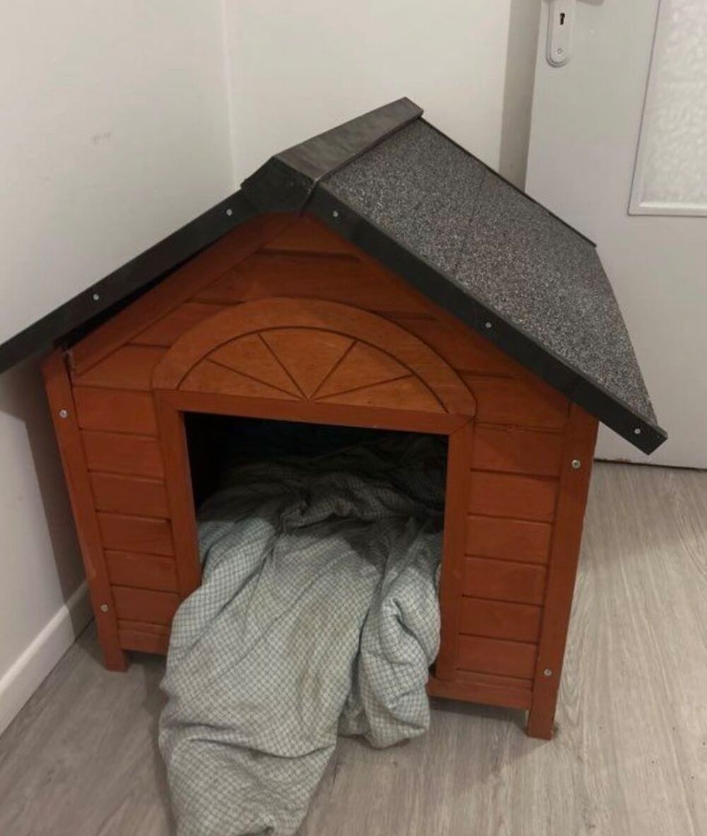niche pour chien Jardin