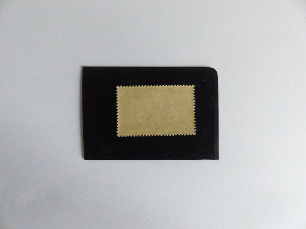 TIMBRE 303 NEUF ** COTE 60 €
