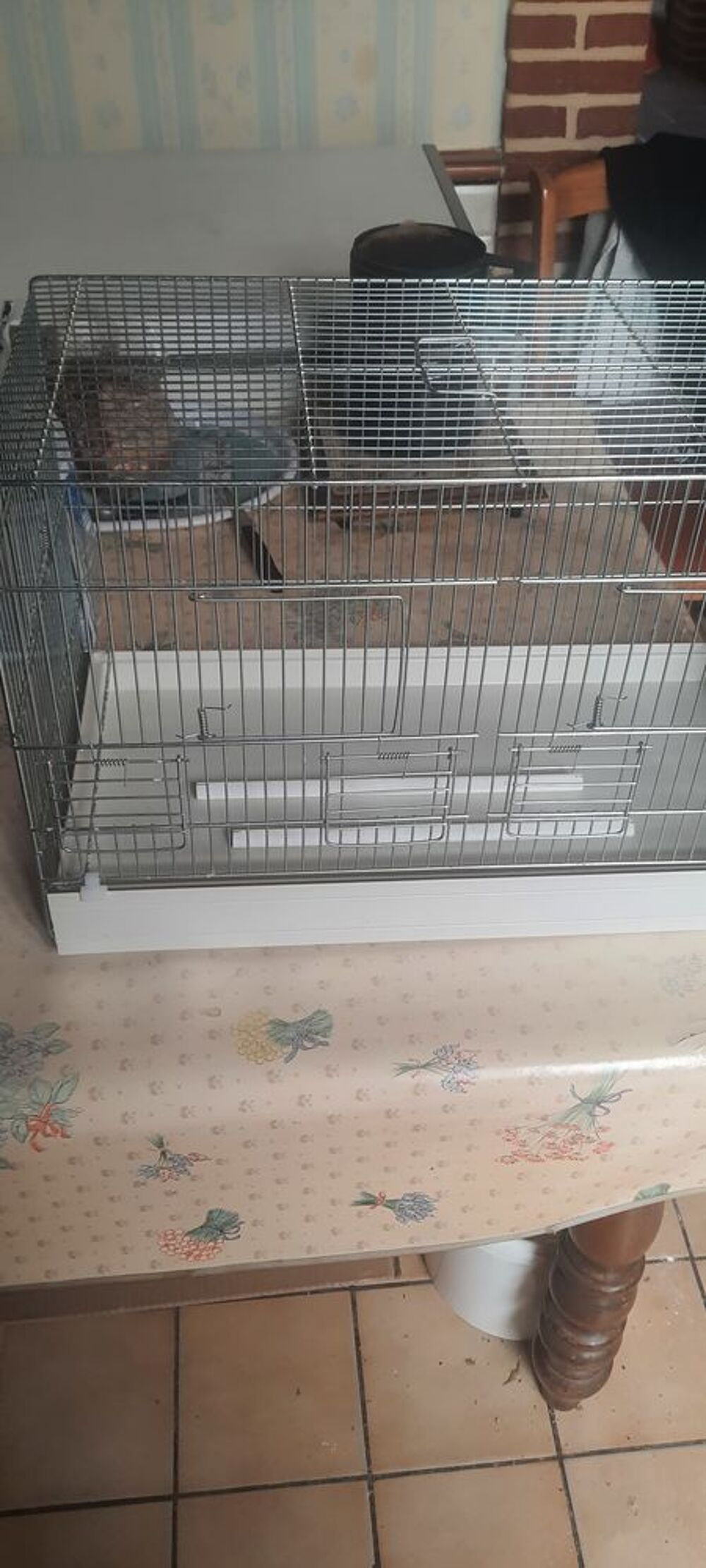   Cage de.elevage 