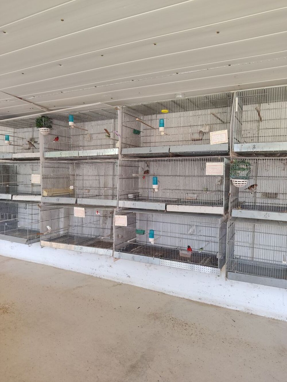   Cages d'élevage . 