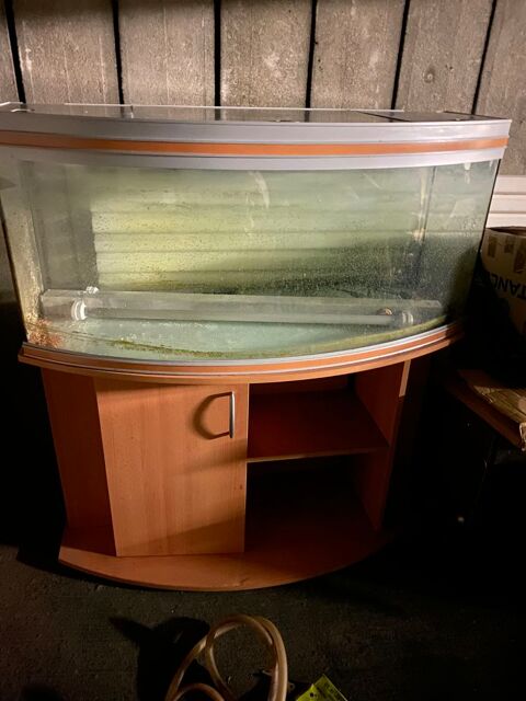 Ensemble meuble + aquarium RENA 260 L +accesoires Les Mureaux (78)