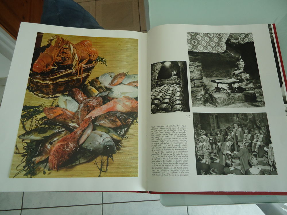 LIVRE FRANCE CULTURE VIVANTE 