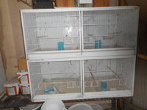   CAGES 