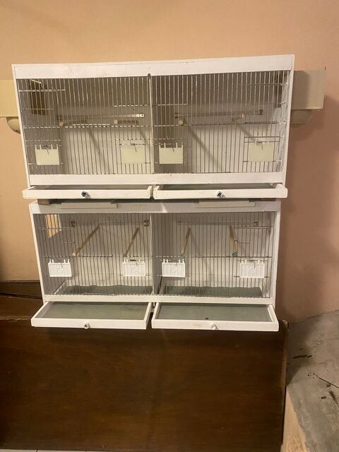 Cages de reproductions 60 94340 Joinville-le-pont