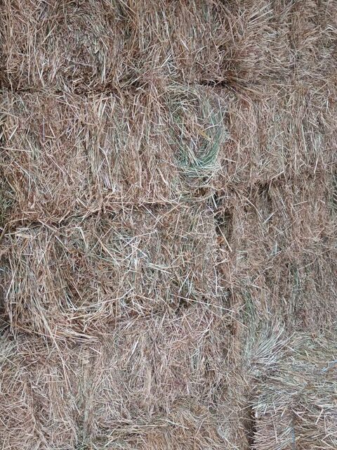 foin petites bottes 3 56520 Guidel