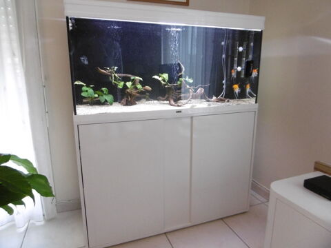 Aquarium 240 L + meuble blanc Hyper complet en parfait état 550 66380 Pia