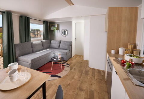 Mobil-Home Mobil-Home 2025 occasion L&egrave;ge-Cap-Ferret 33950