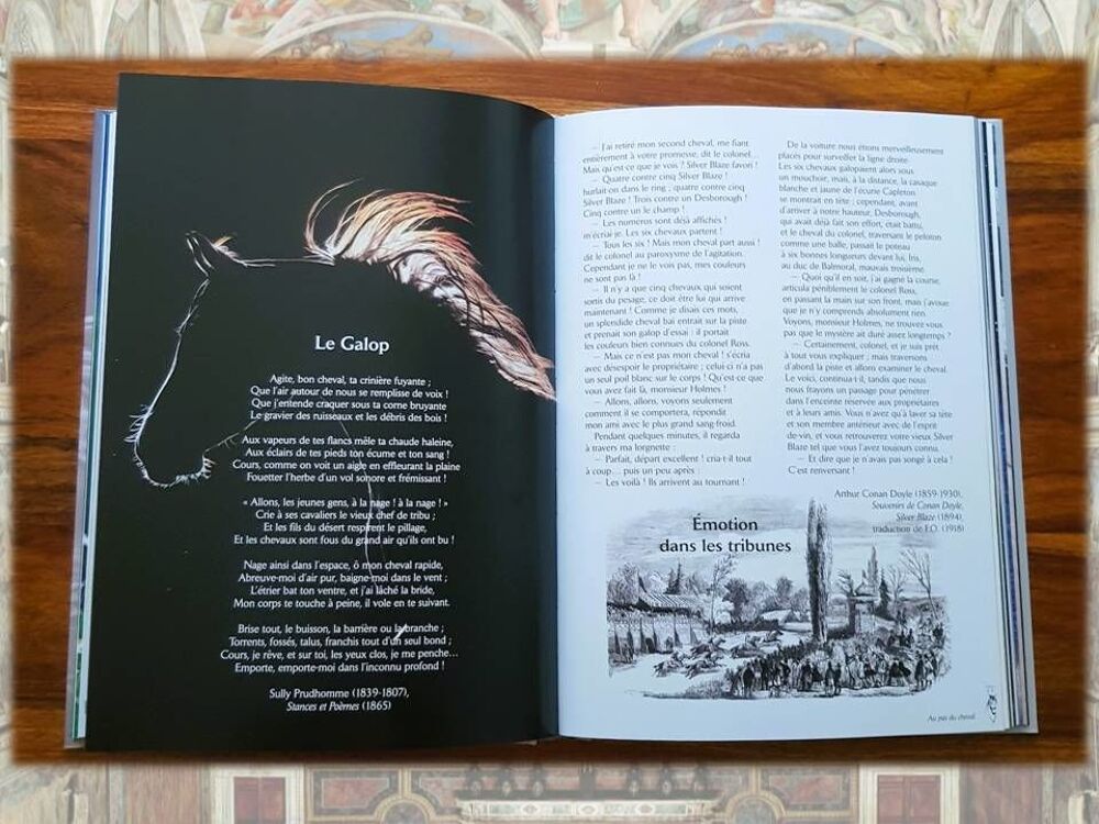 Au pas du cheval - Le cheval &agrave; travers les textes d'auteurs Livres et BD