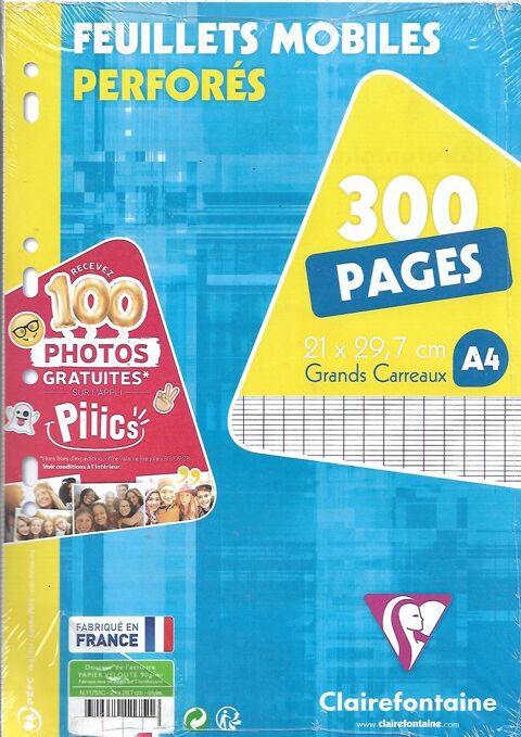 LOT DE 300 FEUILLES GRANDS CARREAUX CLAIRE FONTAINRE 3 Saint-Denis-en-Val (45)
