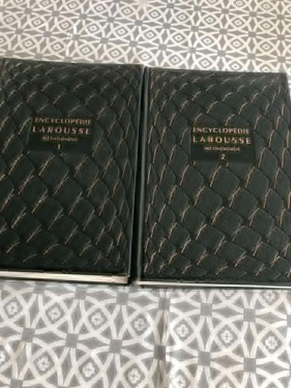 dictionnaire m&eacute;thodique 